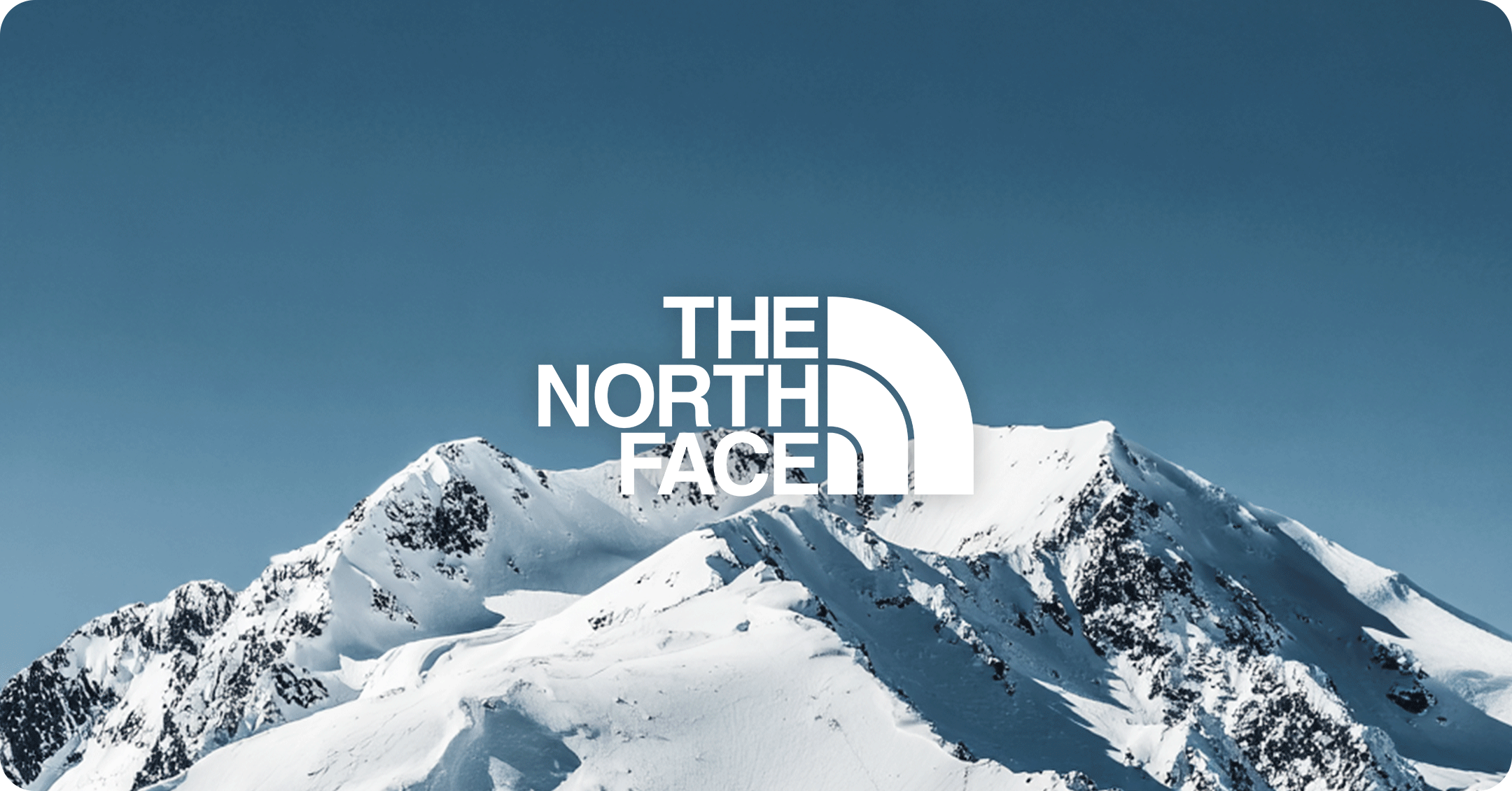 northface-bnr.jpg