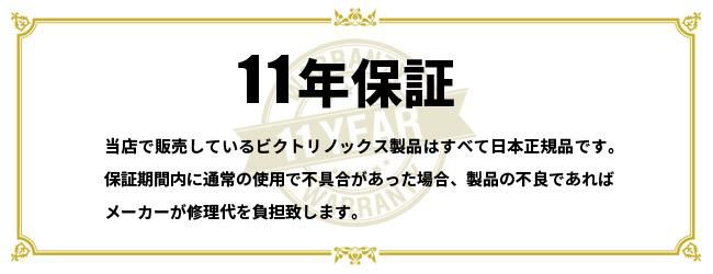 ビクトリノックス アルトモント ビジネスリュック Victorinox 602153