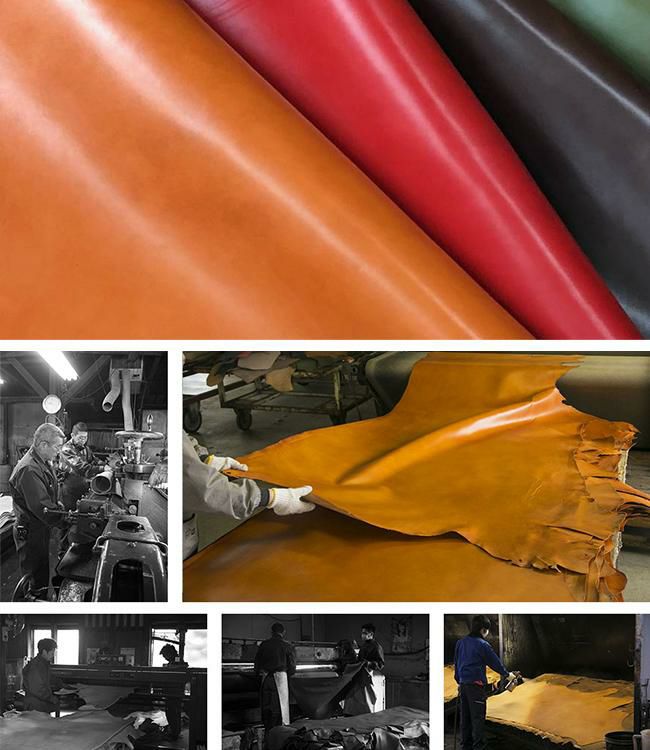 アジリティ アリニエショート 二つ折り財布 AGILITY aj-0346-js