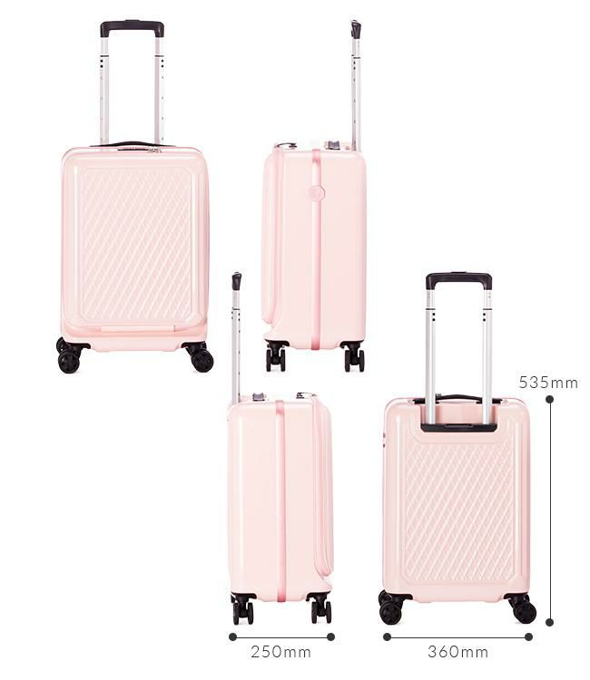 アジアラゲージ アルミナ スーツケース A.L.I alm-036g-18