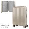 カーゴ エアスタンド スーツケース CARGO cat558st