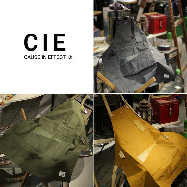 シー ダックキャンバス-02  CIE cie-042010