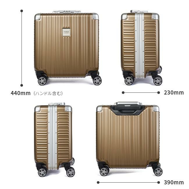 タケオキクチ ダージリン スーツケース TAKEO KIKUCHI daj001