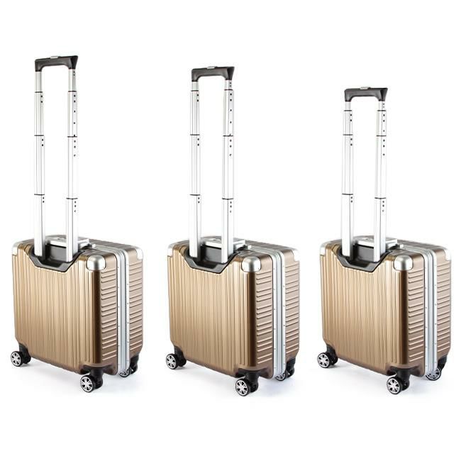 タケオキクチ ダージリン スーツケース TAKEO KIKUCHI daj001