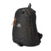 グレゴリー クラシック リュック GREGORY daypack