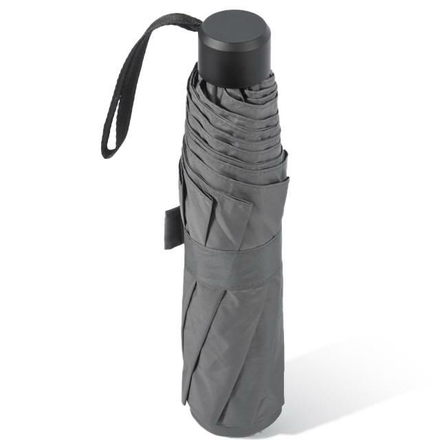 ウォーターフロント 富山サンダー 傘  u370-0819