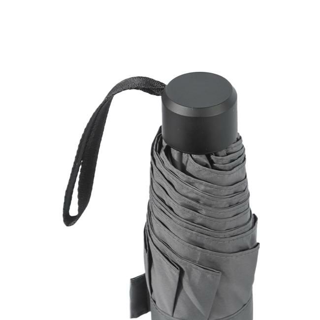 ウォーターフロント 富山サンダー 傘  u370-0819