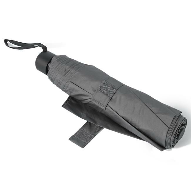 ウォーターフロント 富山サンダー 傘  u370-0819