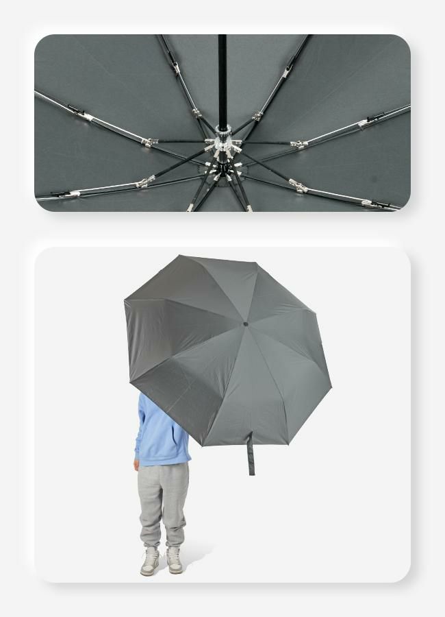 ウォーターフロント 富山サンダー 傘  u370-0819