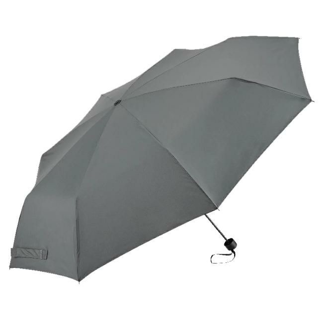 ウォーターフロント 富山サンダー 傘  u370-0819