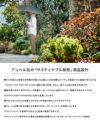 バグスロウ×アンベル ベリカル8 折りたたみ傘 8本骨 自動開閉 ワンタッチ 軽量 耐風 Amvel VERYKAL8 bugSlaw A2735