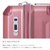アジアラゲージ デカかるEdge スーツケース A.L.I ali-088-24w