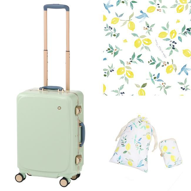 ハント メトロノーム スーツケース HaNT hant-05191