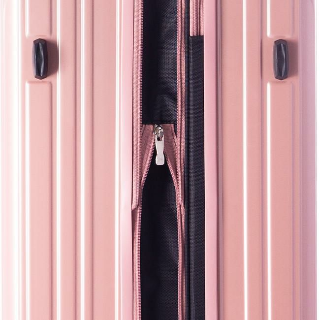 アジアラゲージ フィルパケ スーツケース A.L.I ali-6060-24w