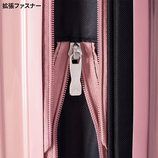 アジアラゲージ フィルパケ/トップオープン スーツケース A.L.I ali-6060tp-22w