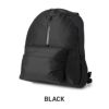 F/CE. ロービック リュック  robic-day-pack