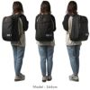 コールマン アメリカンクラシック33【LTD】 リュック Coleman amer-classic33