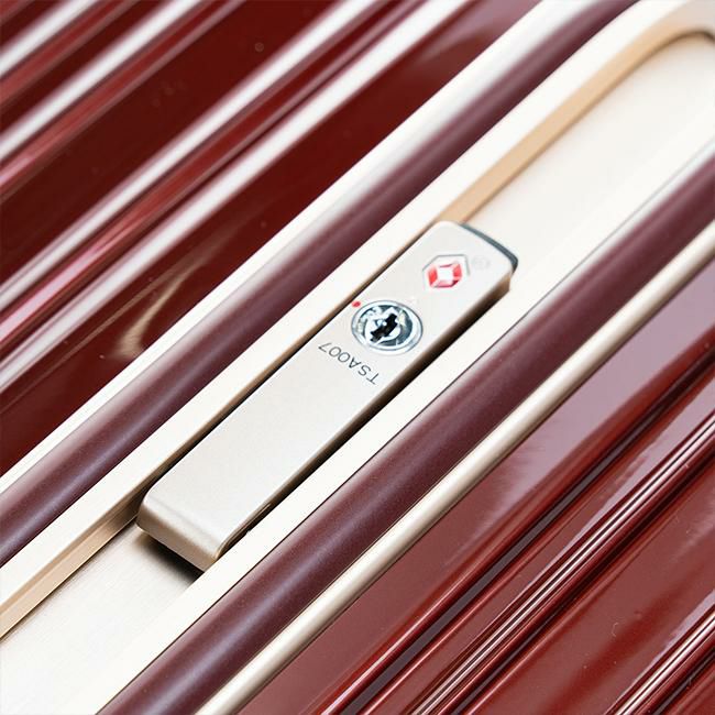 アジアラゲージ ドリームライト スーツケース A.L.I ali-099-18