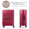 サムソナイト ミンター スーツケース Samsonite hh5-002