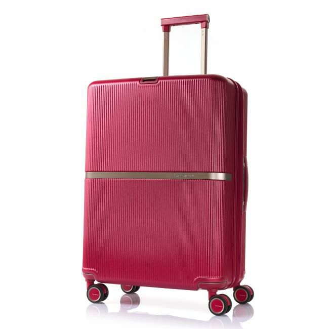 サムソナイト ミンター スーツケース Samsonite hh5-002