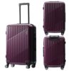 ACE クレスタ スーツケース  ace-06317