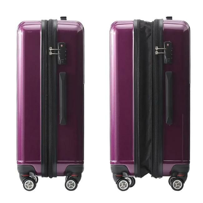 ACE クレスタ スーツケース  ace-06317