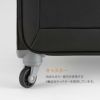 トーキョーレーベル ロックペイントSS キャリーケース ソフト ace. TOKYO LABEL tokyo-35701