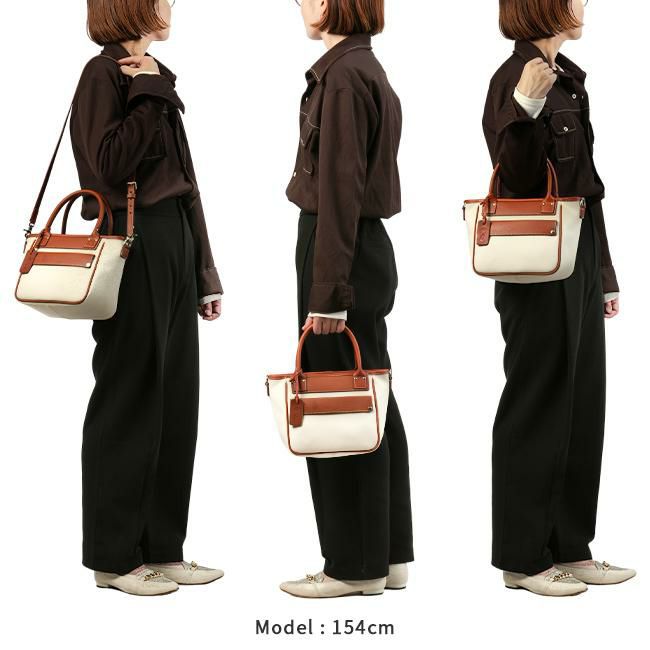 フェリージ Amazzonia トートバッグ Felisi 24-7am-a