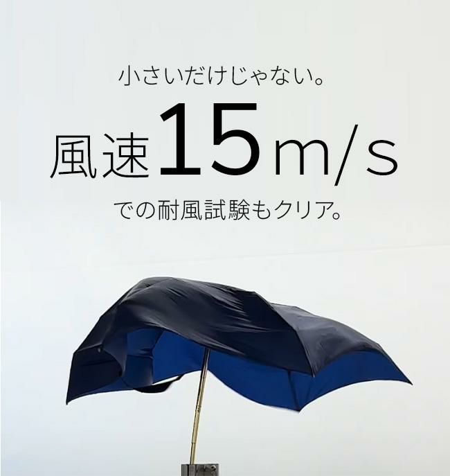 バグスロウ×アンベル オルタナスリム50 折りたたみ傘 スリム 軽量 Amvel ALTERNA SLIM50 bugSlaw A2754