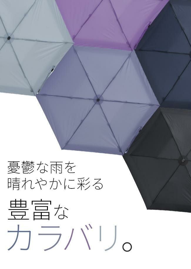 バグスロウ×アンベル オルタナスリム50 折りたたみ傘 スリム 軽量 Amvel ALTERNA SLIM50 bugSlaw A2754