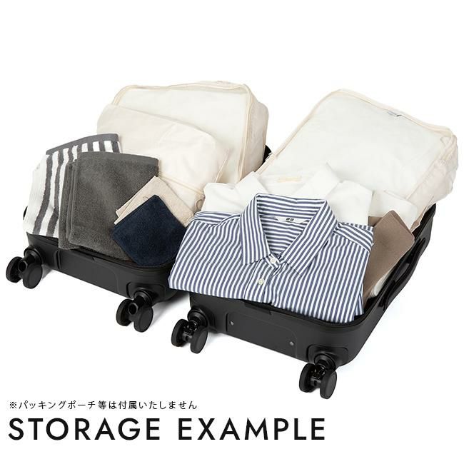 ACE フレットボード スーツケース  ace-05431