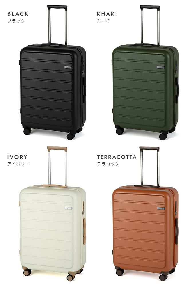 ACE フレットボード スーツケース  ace-05433