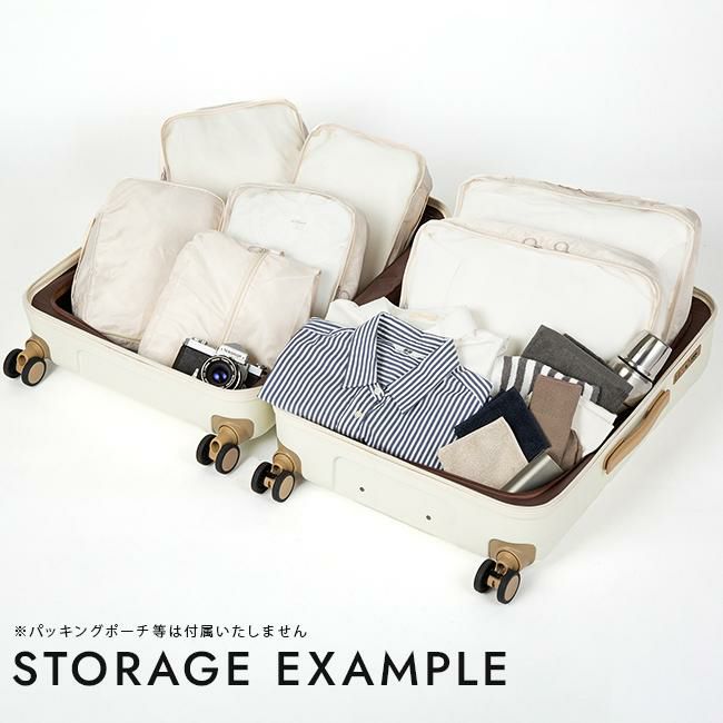 ACE フレットボード スーツケース  ace-05433