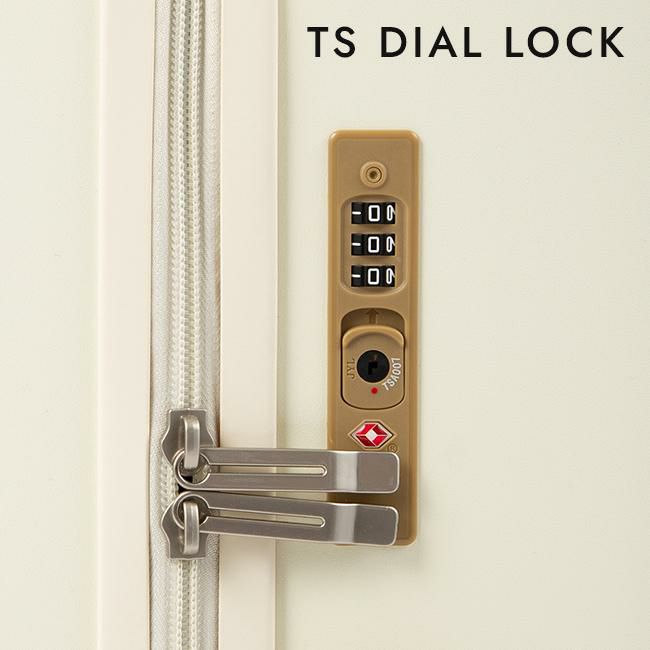 ACE フレットボード スーツケース  ace-05433