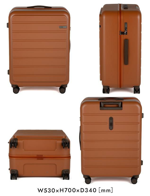 ACE フレットボード スーツケース  ace-05434