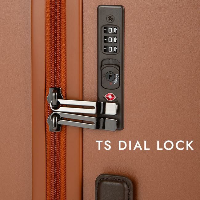 ACE フレットボード スーツケース  ace-05434