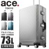 トーキョーレーベル アルゴナム2-F スーツケース ace. TOKYO LABEL tokyo-06992