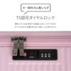 トーキョーレーベル サルートン スーツケース ace. TOKYO LABEL tokyo-05363