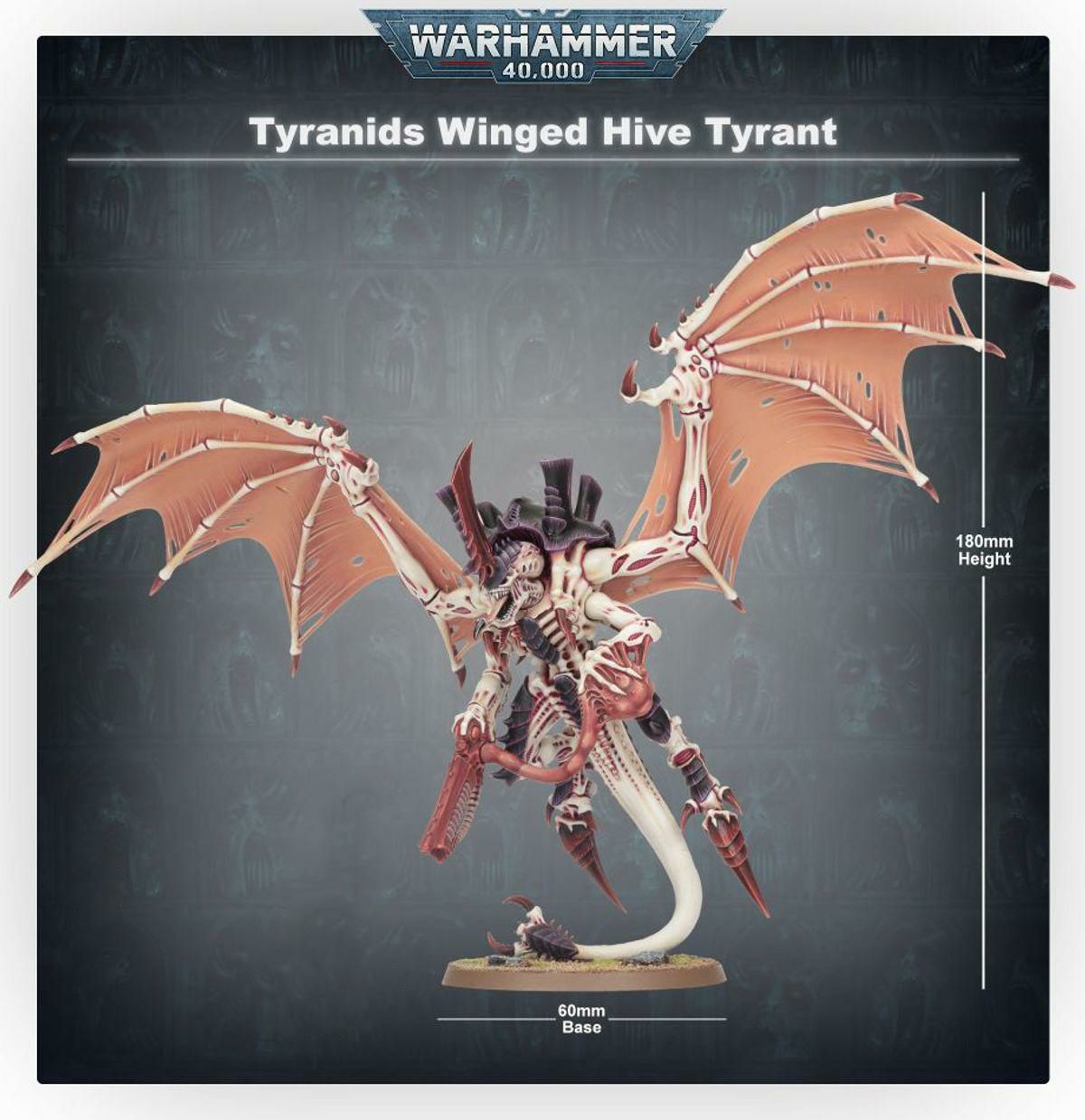 000000019831-06-xl.jpg?t=