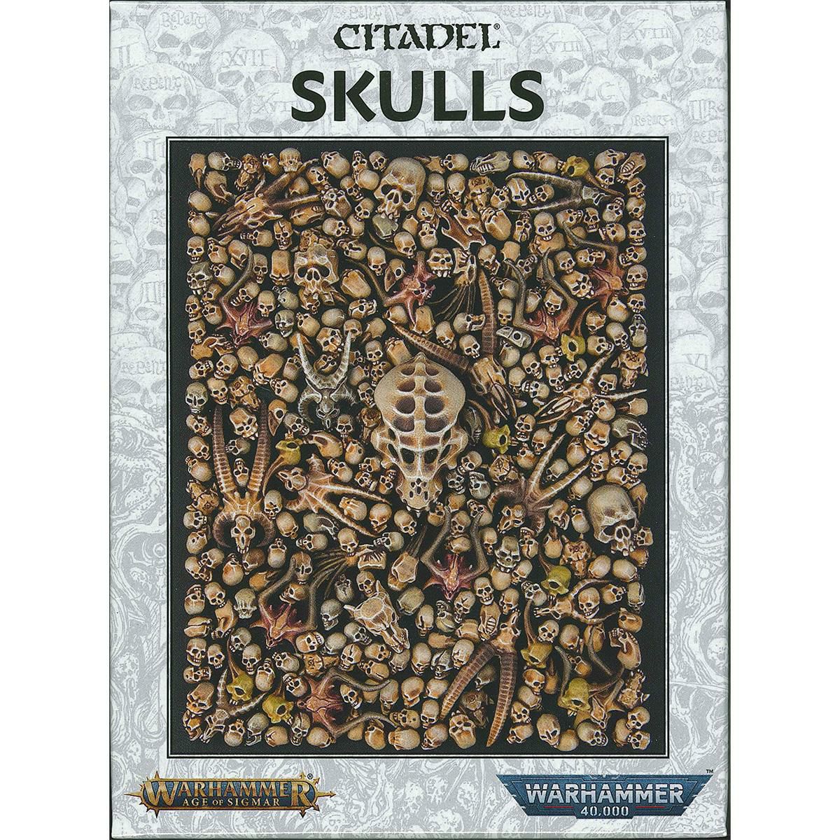 ウォーハンマー シタデルスカル WARHAMMER CITADEL SKULLS 64-29