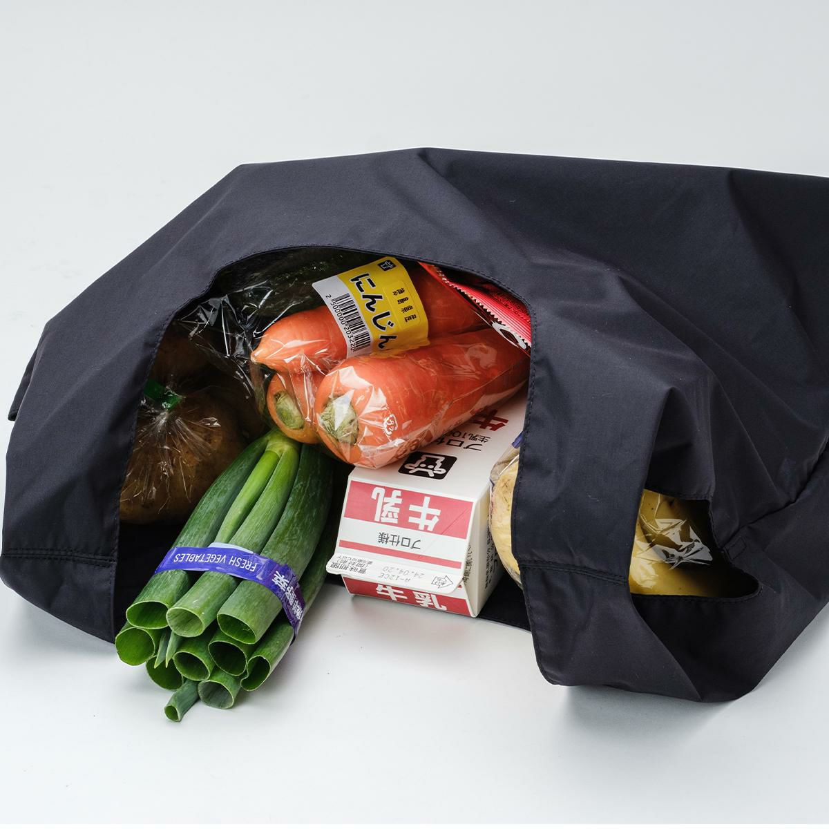 アンインセイン Pシリーズ ショルダーバッグ ANINSANE p02