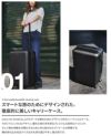エアー carry-on Max スーツケース Aer carry48