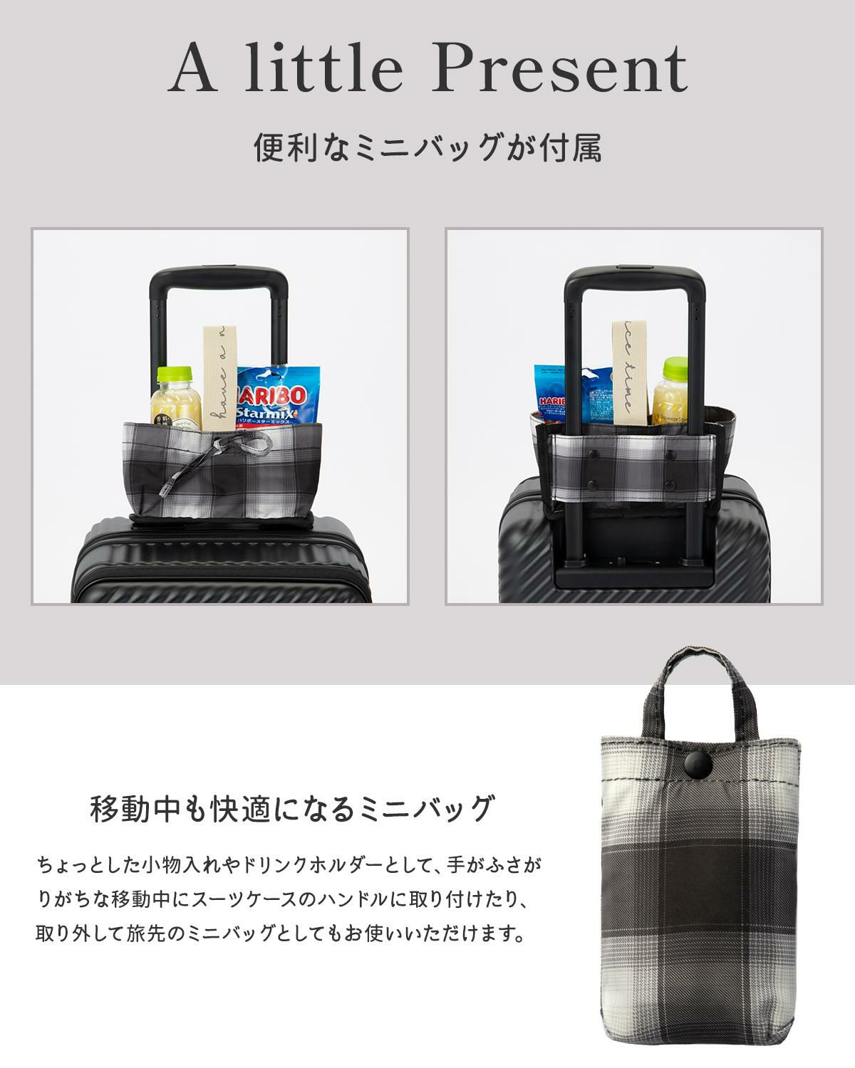 ハント ココント スーツケース HaNT hant-05511