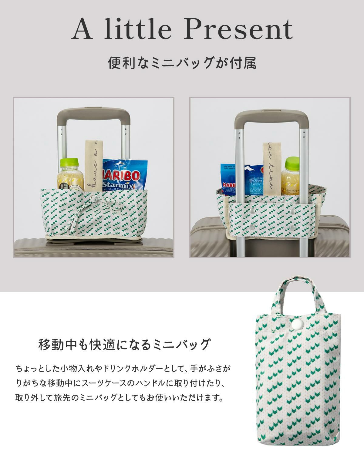 ハント ココント スーツケース HaNT hant-05512