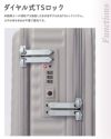 ハント ココント スーツケース HaNT hant-05513