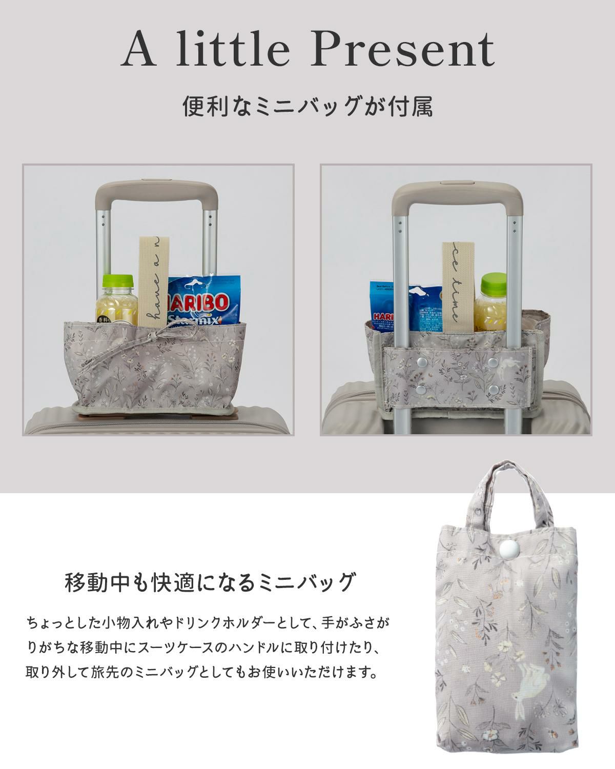 ハント ココント スーツケース HaNT hant-05513