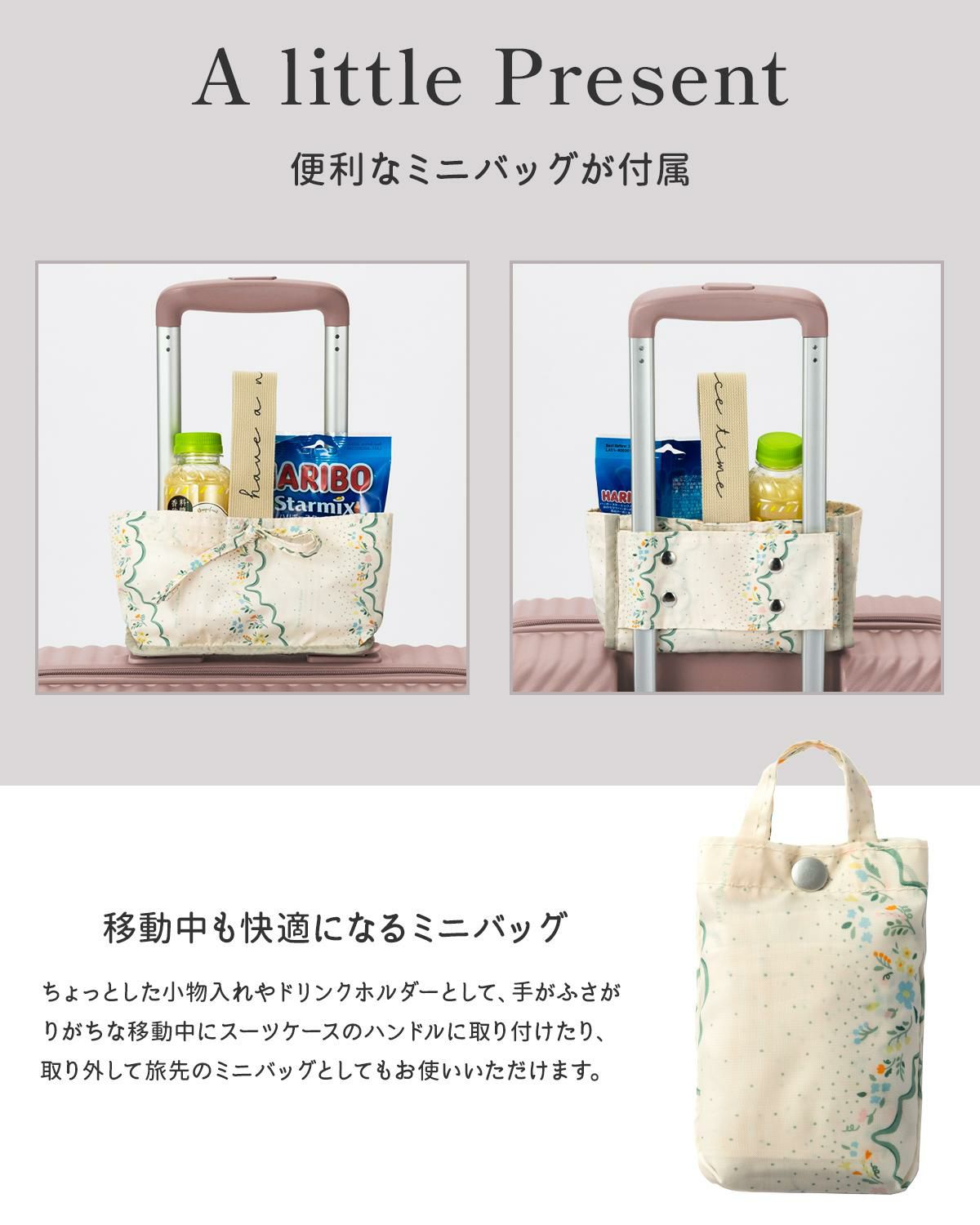 ハント ココント スーツケース HaNT hant-05514