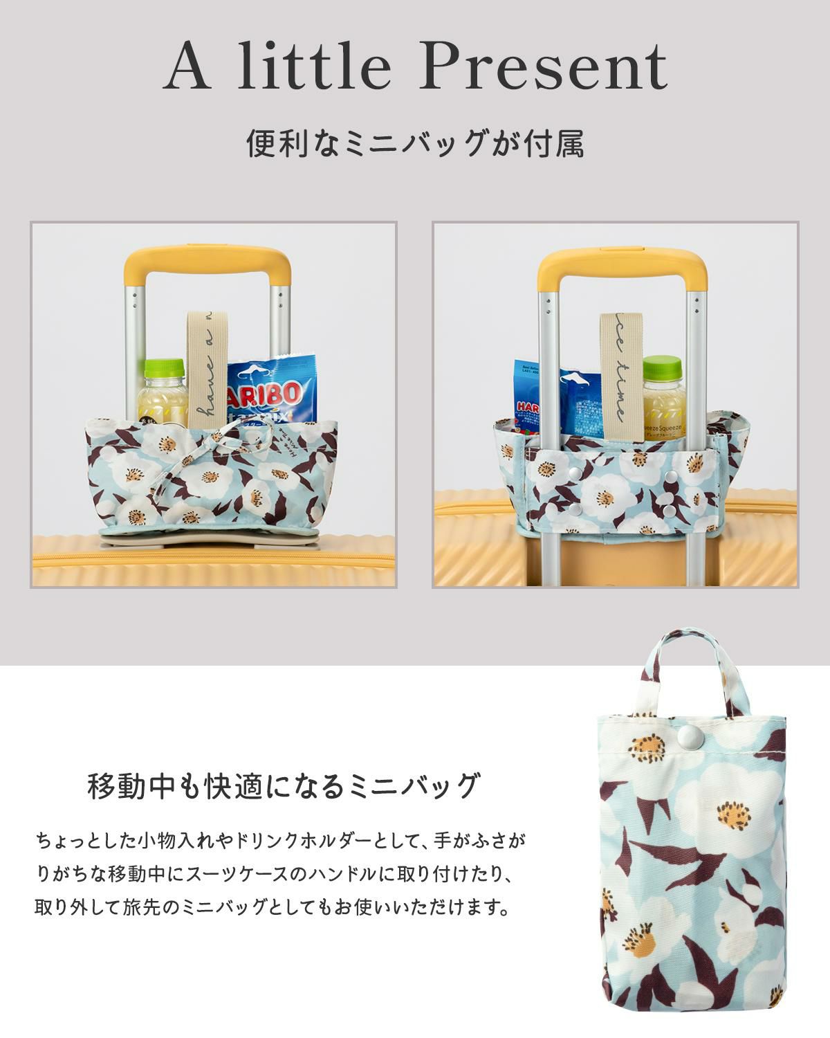 ハント ココント スーツケース HaNT hant-05515