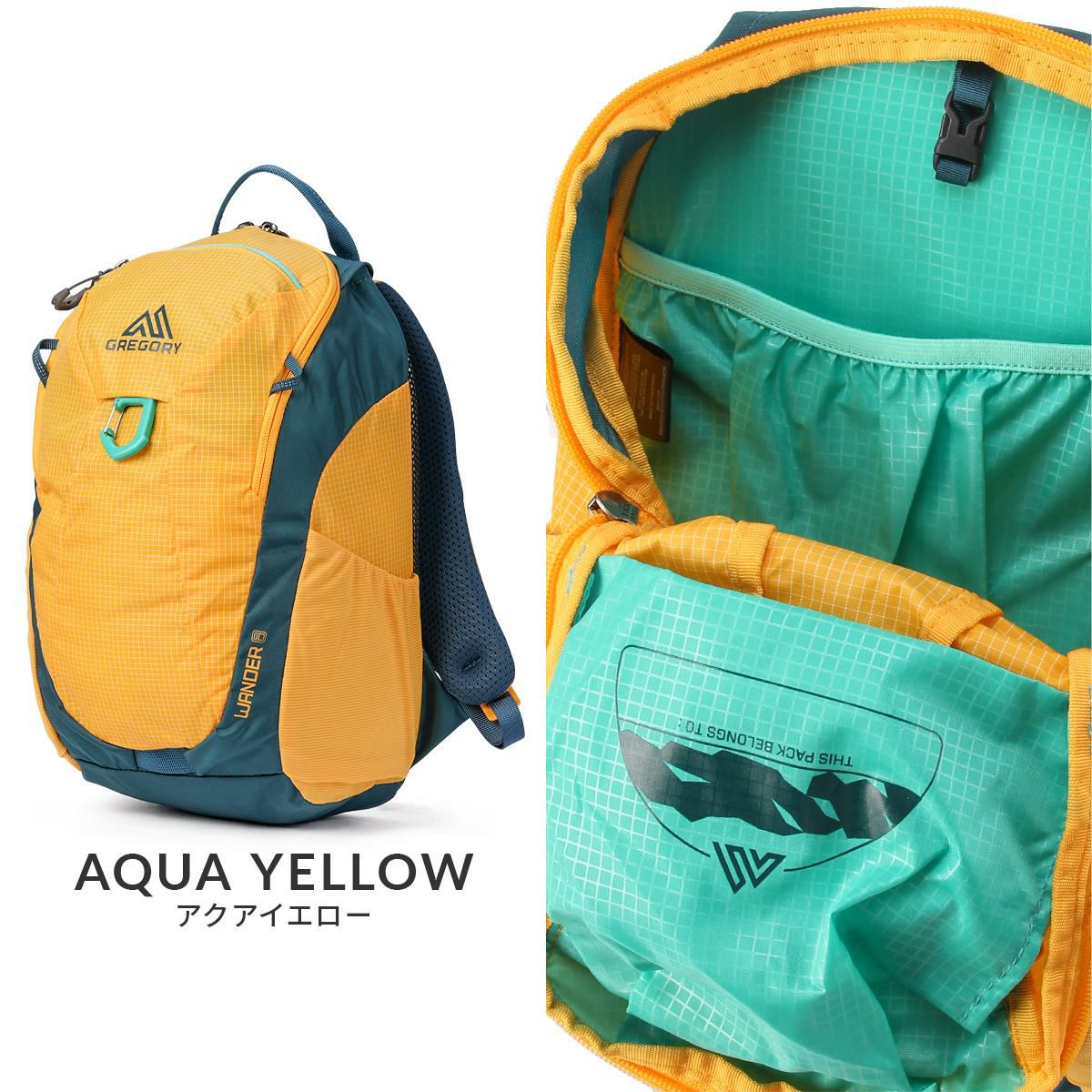 グレゴリー ユースハイキング リュック GREGORY YOUTH HIKING wander8