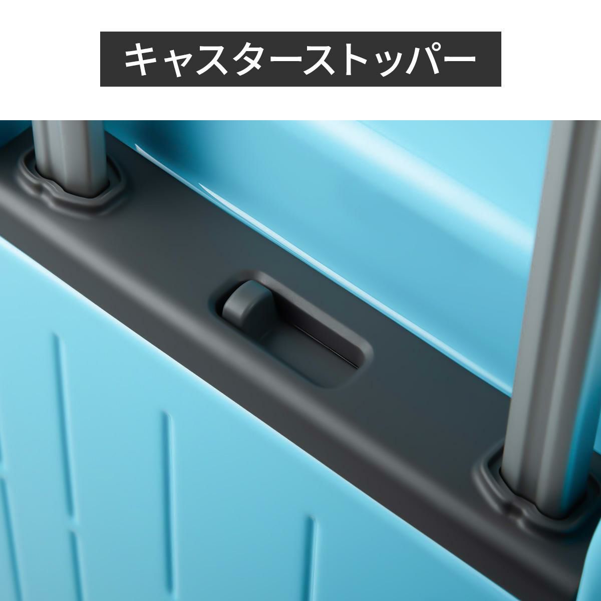 トーキョーレーベル ディフェレンス スーツケース Lサイズ ace. TOKYO LABEL 05724